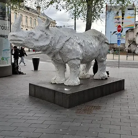 Lumineux Au Coeur De Charme & Confort Daire Tours