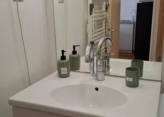 公寓 Lumineux Au Coeur De Charme & Confort 图尔