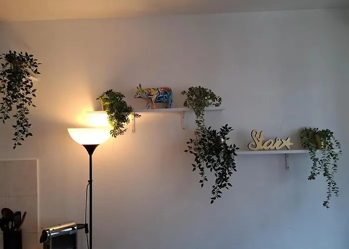 Lumineux Au Coeur De Charme & Confort *