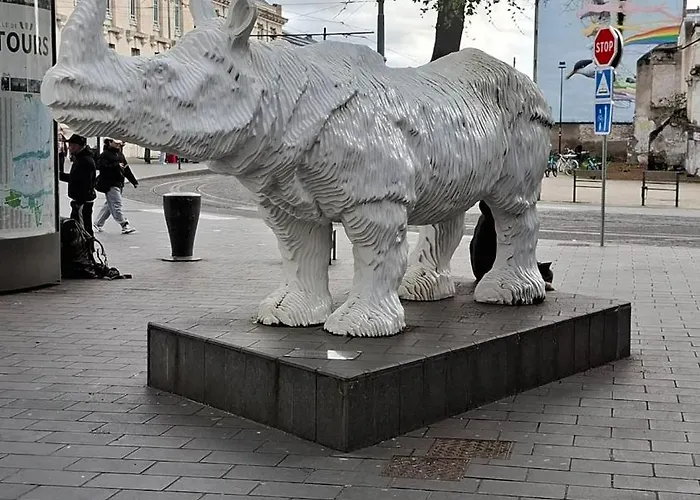 Lumineux Au Coeur De Charme & Confort Daire Tours